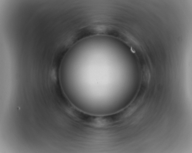 X0000113940562200910021305