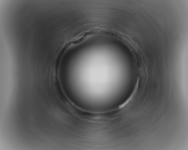 X0000113940564200910021305