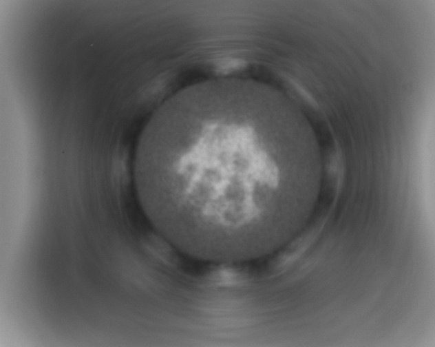 X0000113940565200910021305