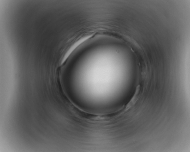 X0000113940566200910021305