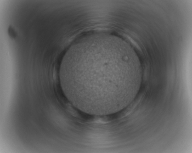 X0000113940569200910021305