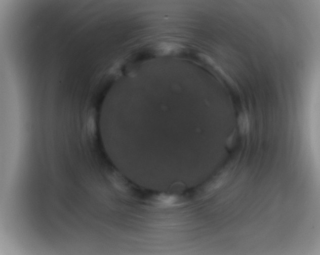 X0000113940570200910021305