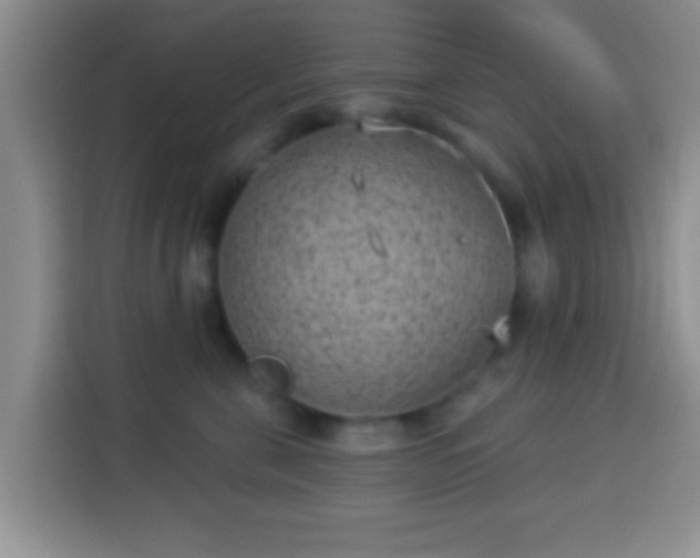 X0000113940571200910021305