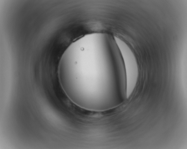 X0000113940572200910021305