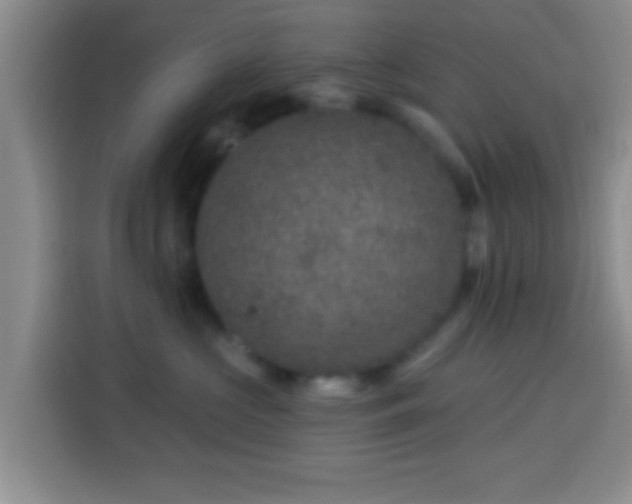 X0000113940573200910021305