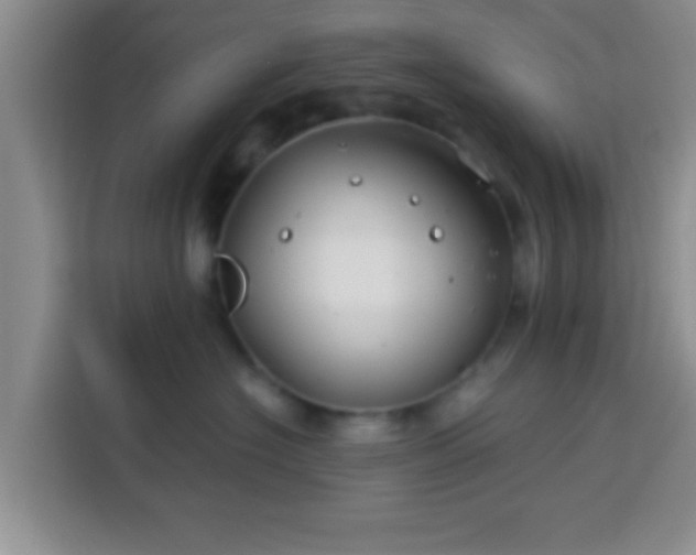 X0000113940574200910021305