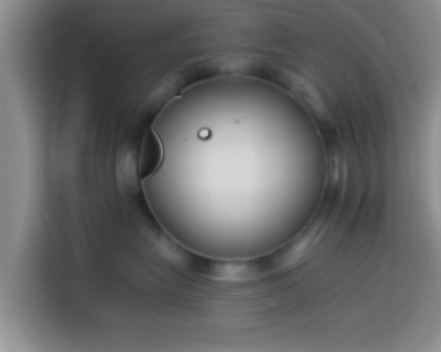 X0000113940575200910021305