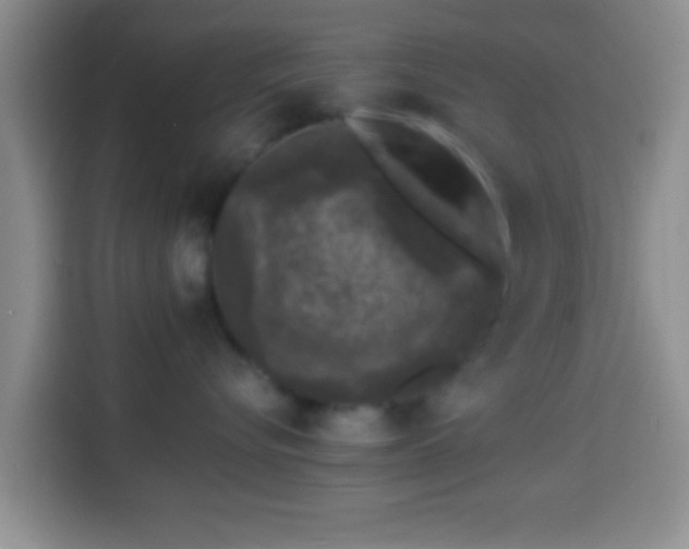 X0000113940576200910021305