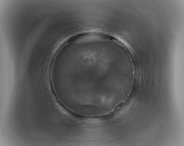 X0000113940577200910021304