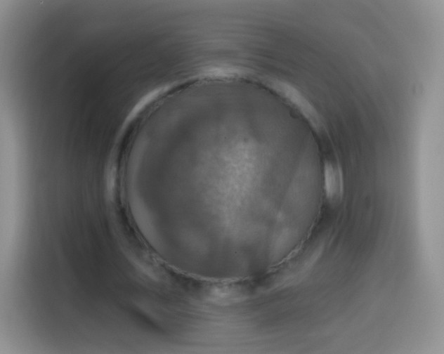 X0000113940579200910021304