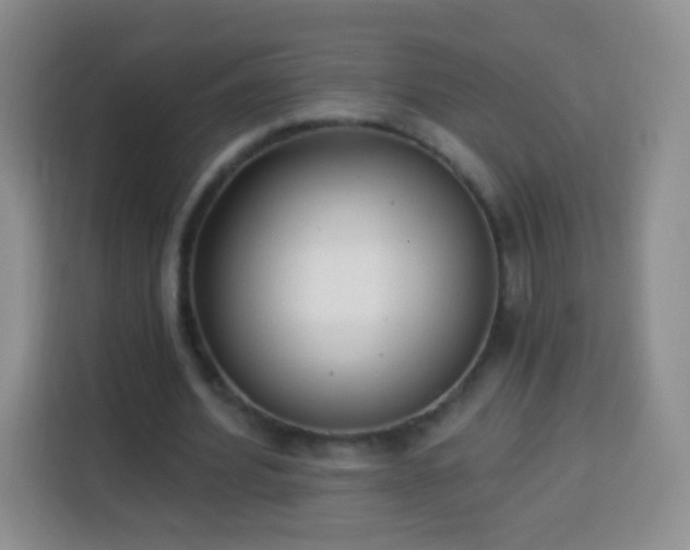 X0000113940580200910021304