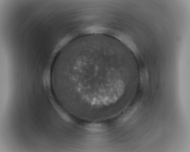 X0000113940581200910021304