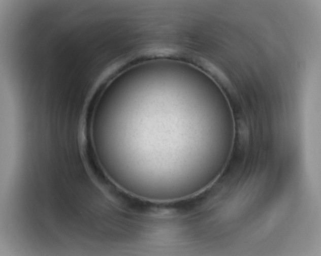 X0000113940582200910021304