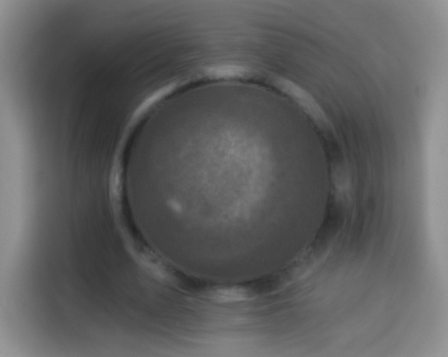 X0000113940583200910021304