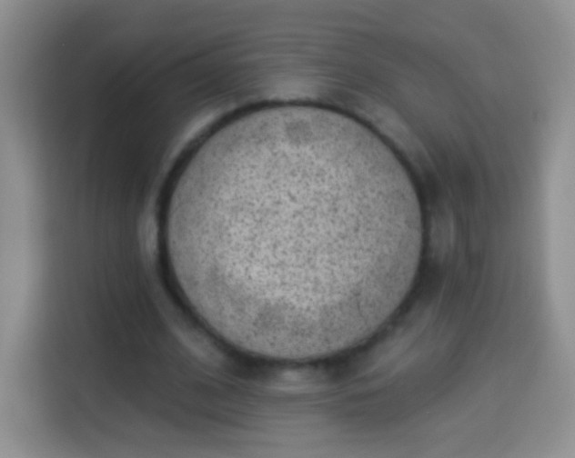 X0000113940584200910021304