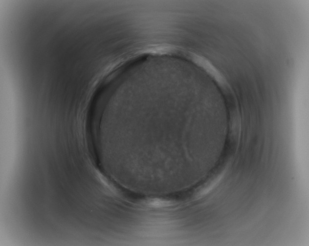 X0000113940585200910021304