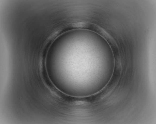 X0000113940586200910021304