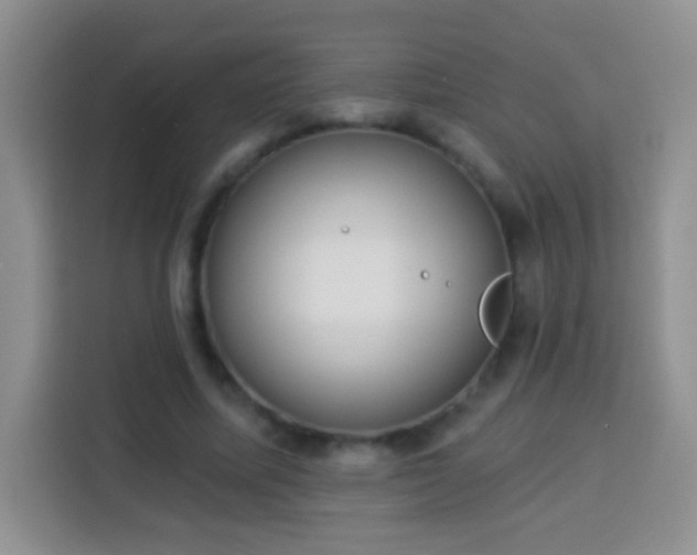 X0000113940587200910021304