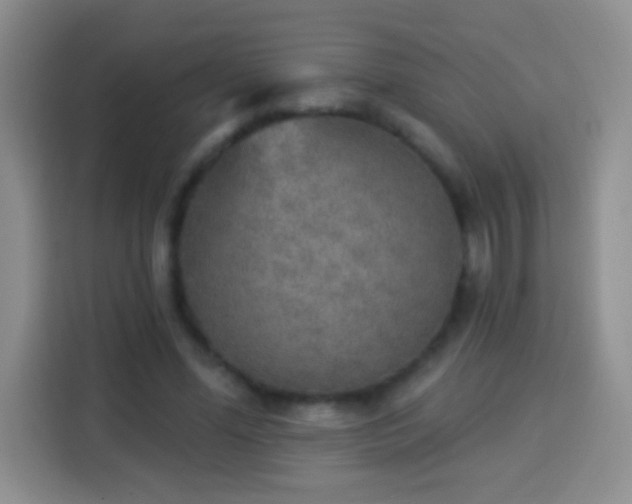 X0000113940588200910021304