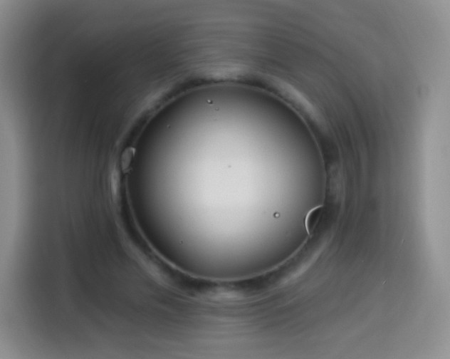 X0000113940589200910021304