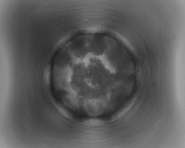 X0000113940590200910021304