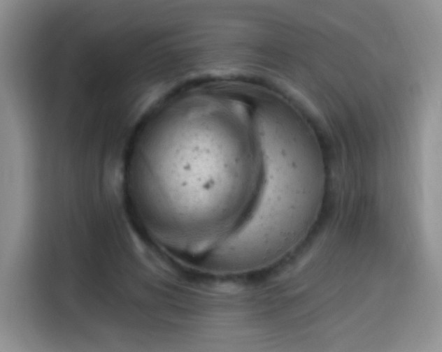 X0000113940592200910021304