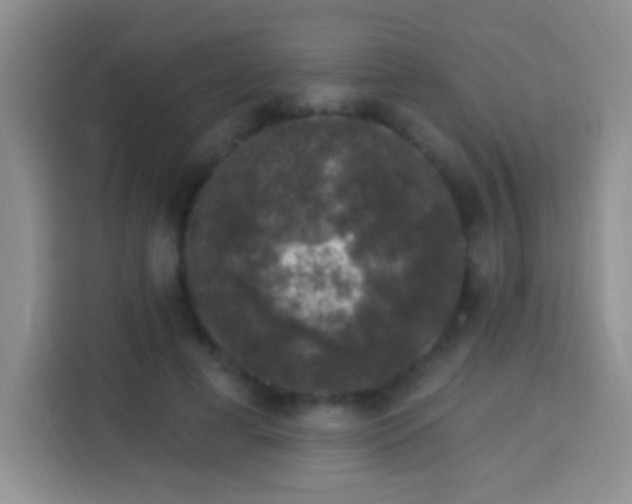 X0000113940593200910021304