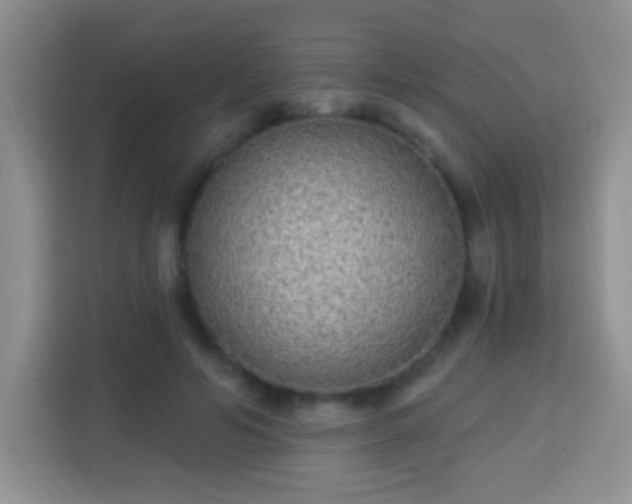 X0000113940594200910021304