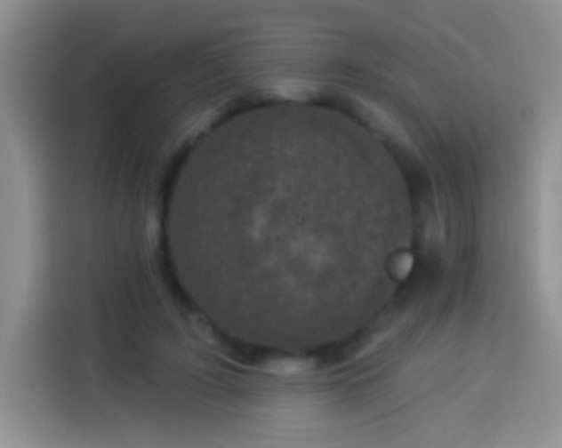 X0000113940595200910021304