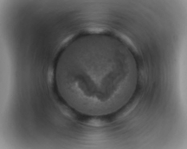 X0000113940596200910021304