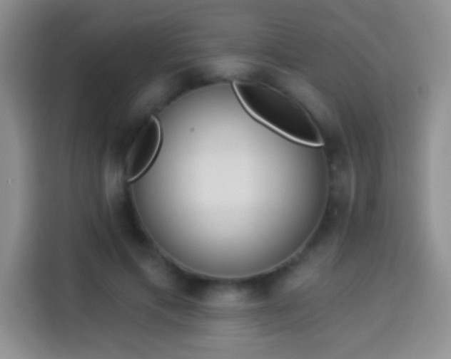 X0000113940597200910021304