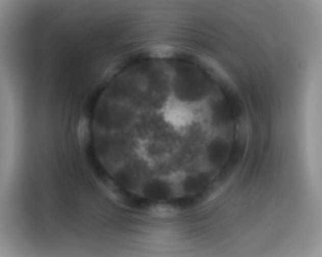 X0000113940598200910021304