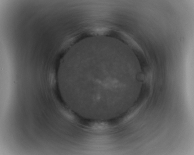 X0000113940599200910021304