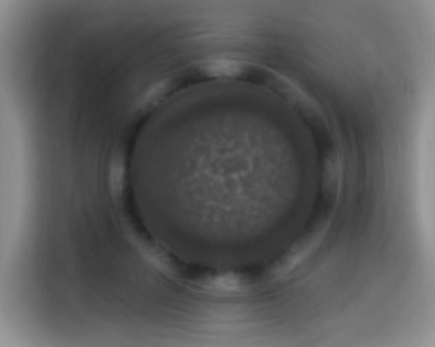 X0000113940600200910021304