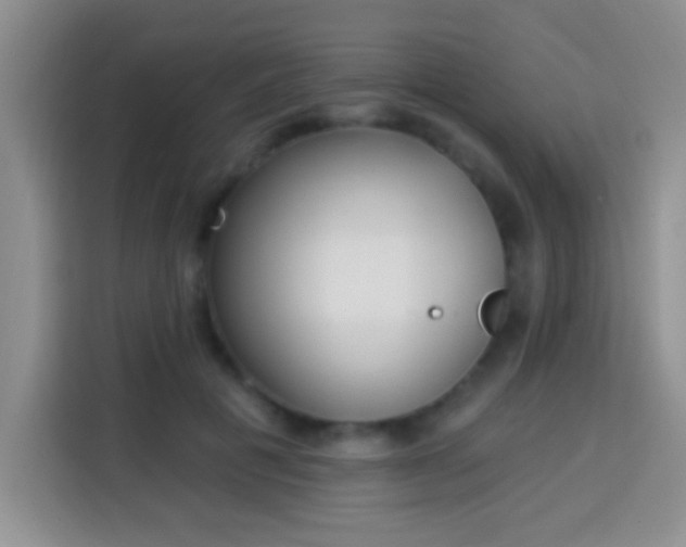 X0000113940601200910021304