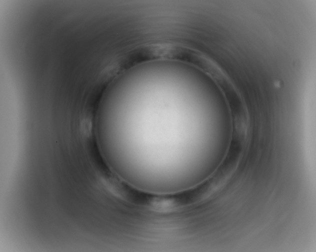 X0000113940602200910021304