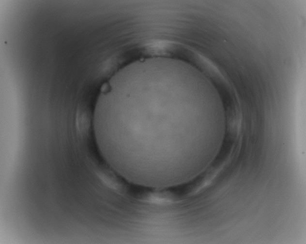 X0000113940603200910021304