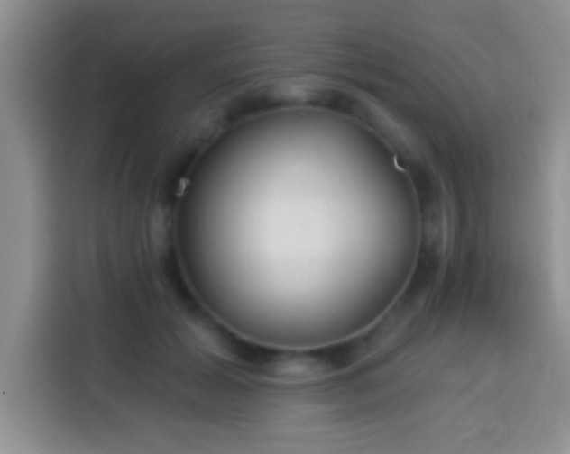 X0000113940605200910021304