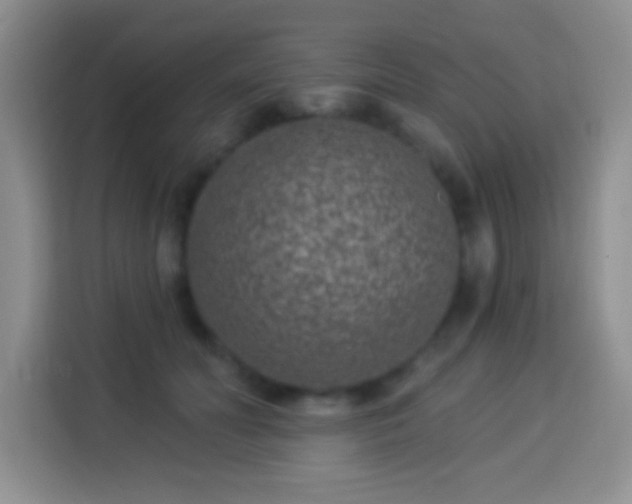 X0000113940606200910021304