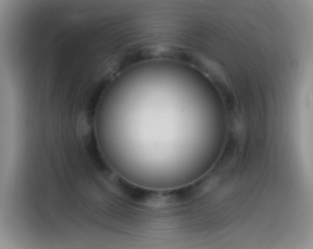 X0000113940607200910021304