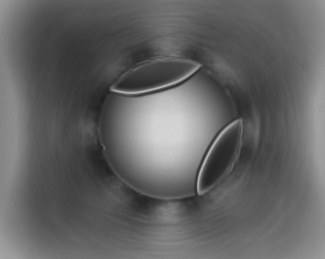 X0000113940609200910021304