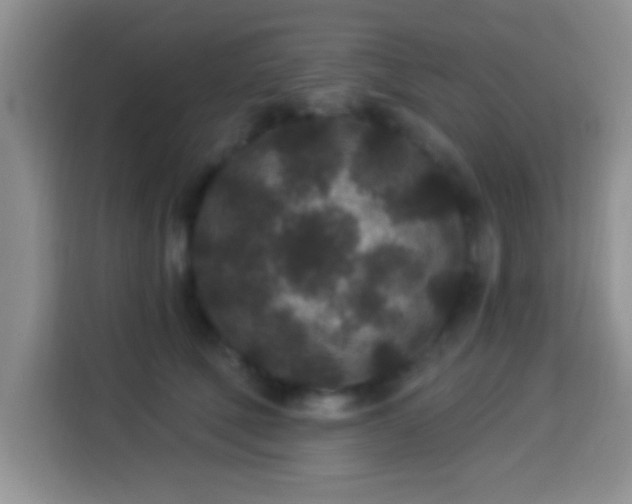 X0000113940610200910021304