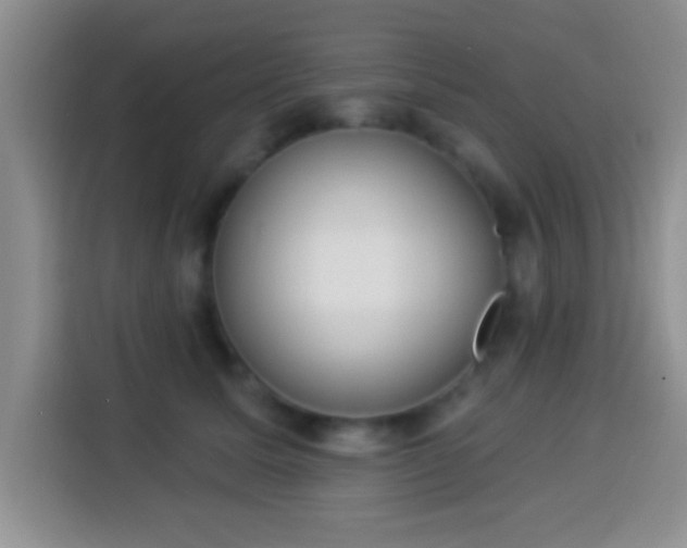 X0000113940611200910021304