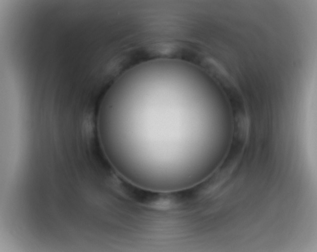 X0000113940612200910021304