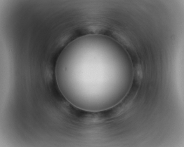 X0000113940615200910021304