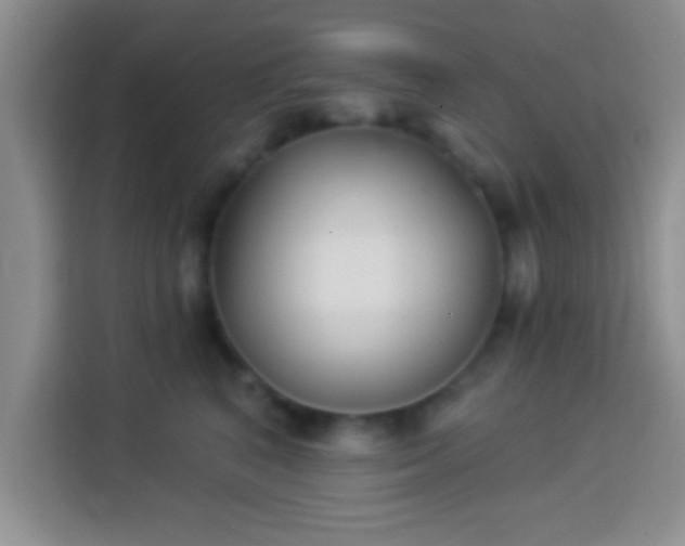 X0000113940616200910021304