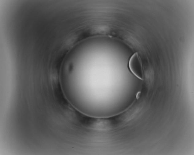 X0000113940617200910021304