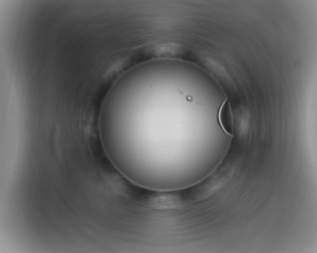 X0000113940619200910021304