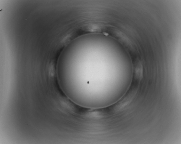 X0000113940620200910021304