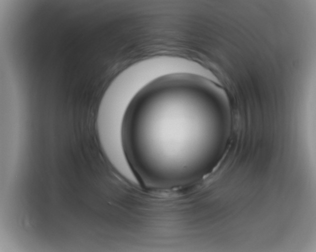 X0000113940621200910021304